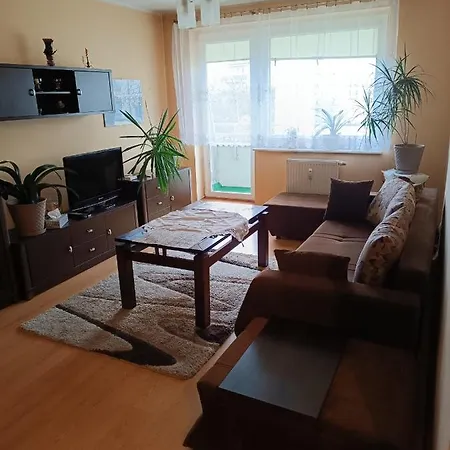 Apartament Zakoniczyn Dla 4 Osob Appartement